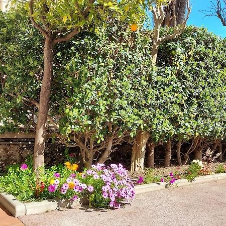 Rez-De-Chaussee Privatif Spacieux 3* D'Une Villa Centre Ville Hyères Exterior foto