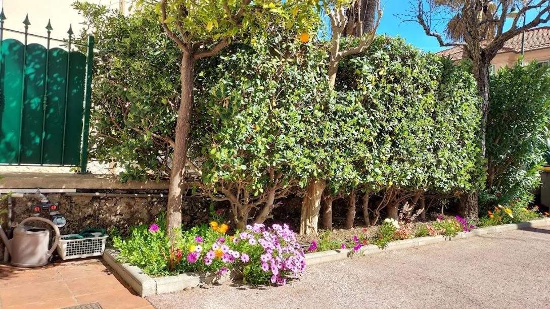 Rez-De-Chaussee Privatif Spacieux 3* D'Une Villa Centre Ville Hyères Exterior foto